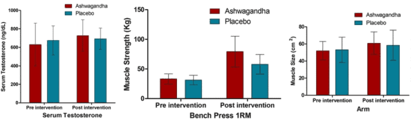 Ashwagandha Study Testosterone, Strength, Muscle Mass