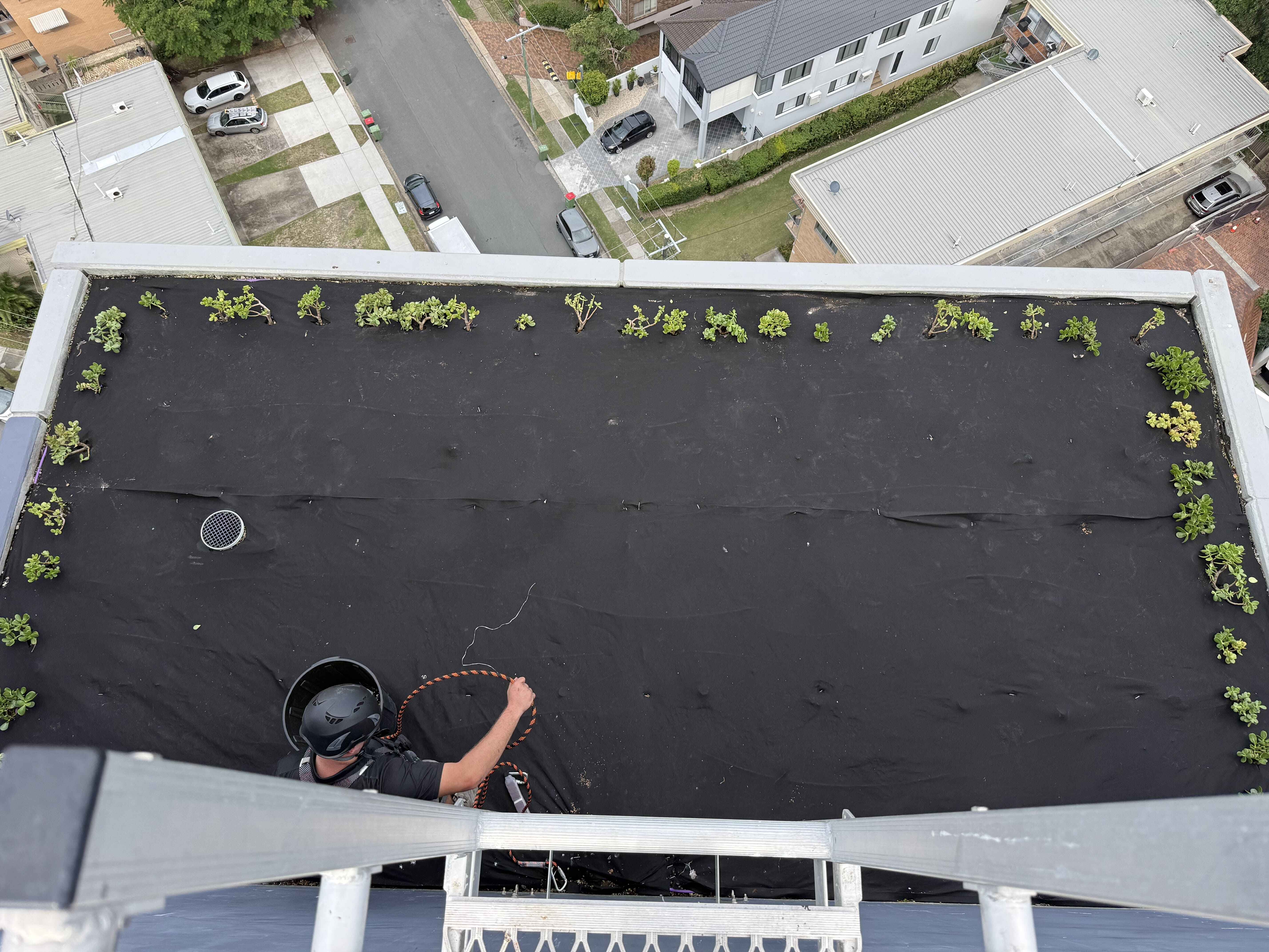 Working at heights certified gardener completing rooftop garden weed matting and planting Surfers Paradise Gold Coast
