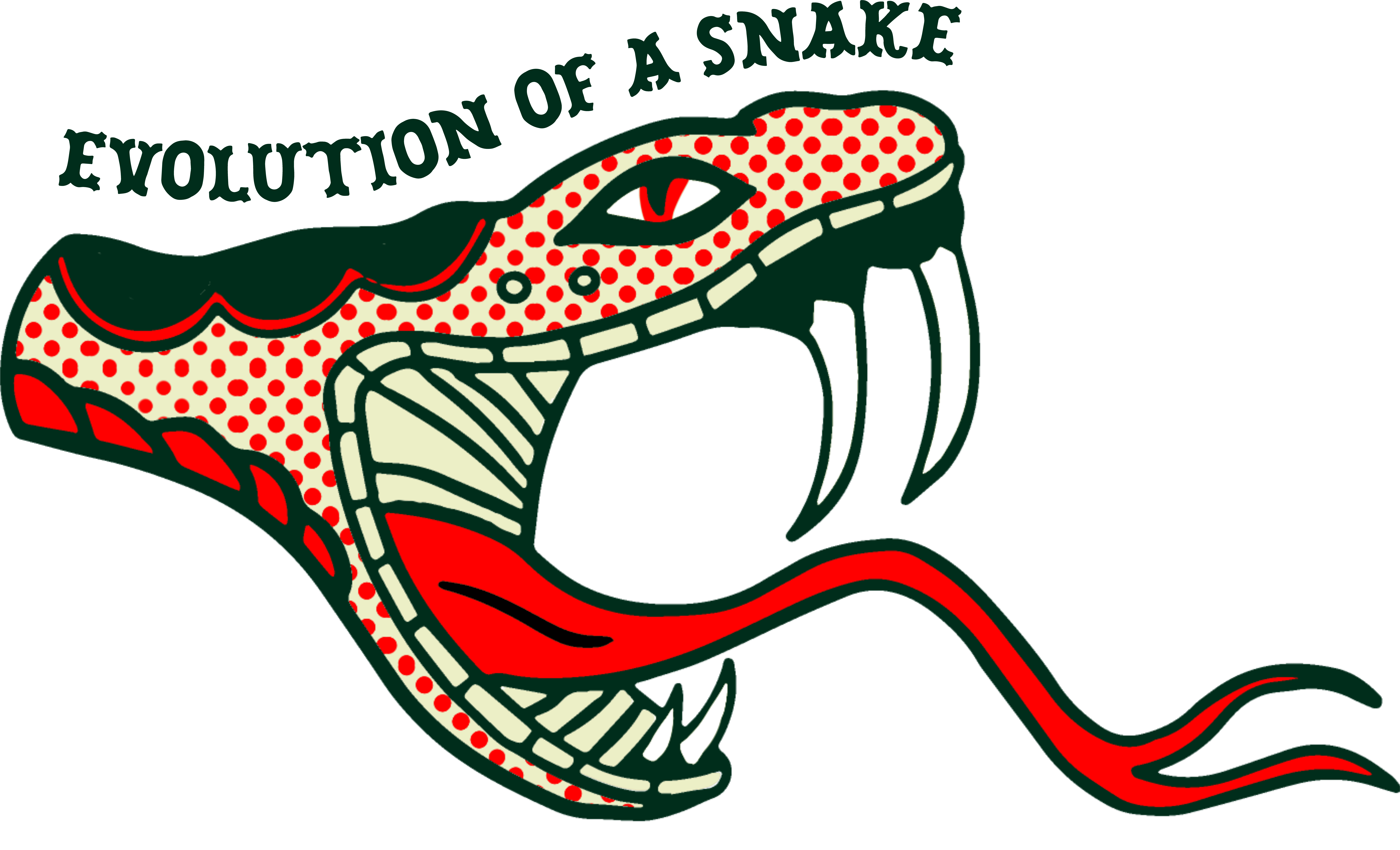 Evolution of a Snake Sticker