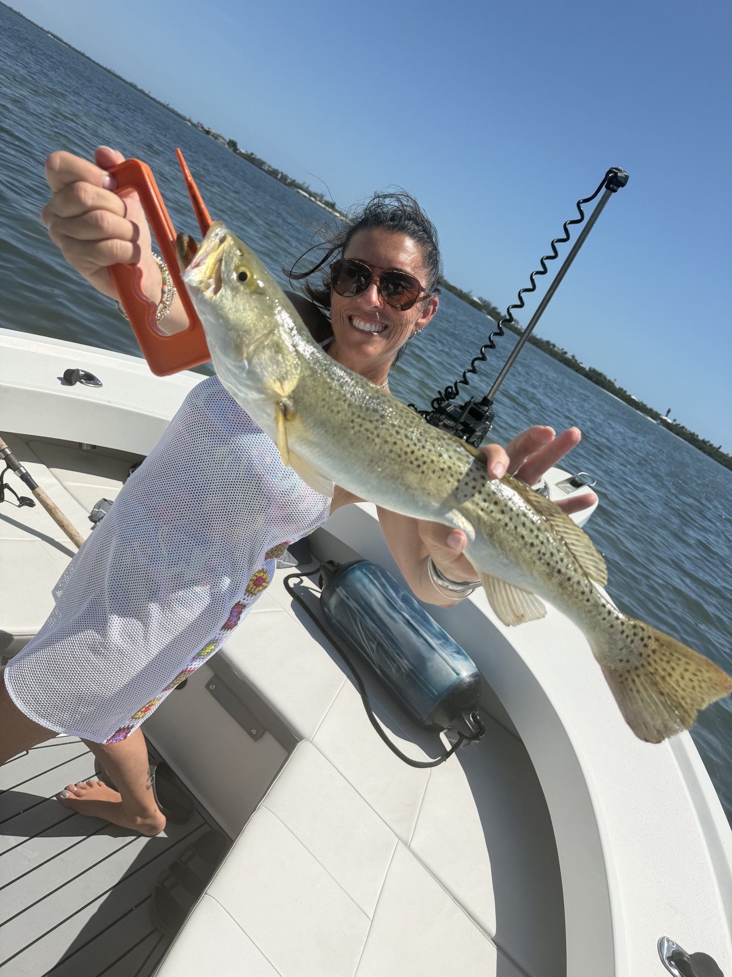 Spotted seatrout caught inshore on a Bradenton fishing charter