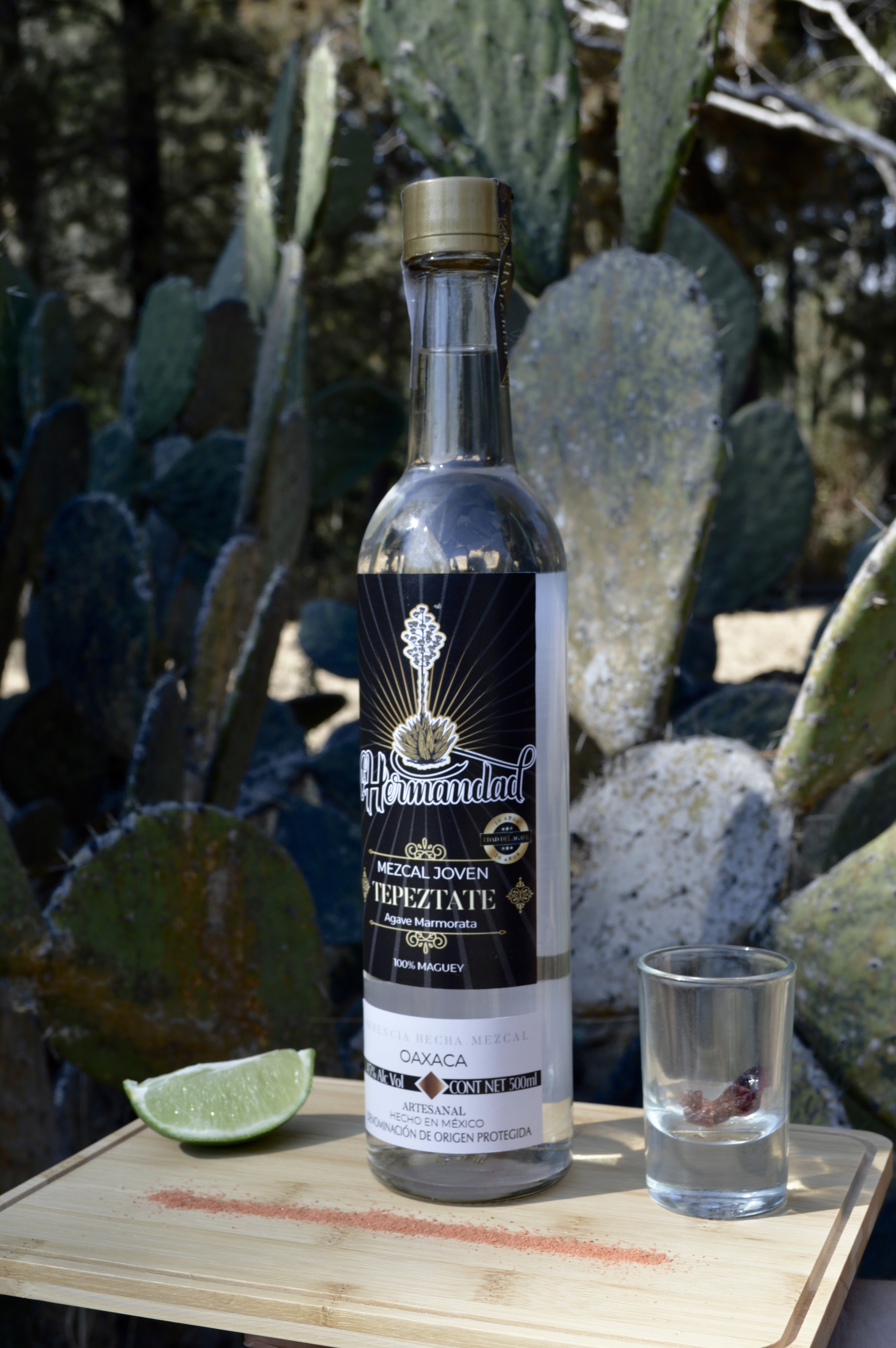 Mexico City Female Model