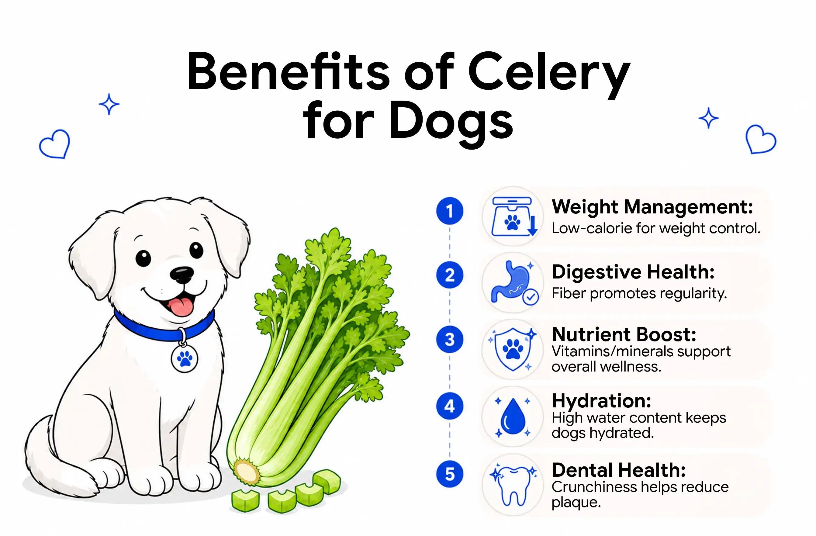 An infographic showing the benefits of celery for dogs.
