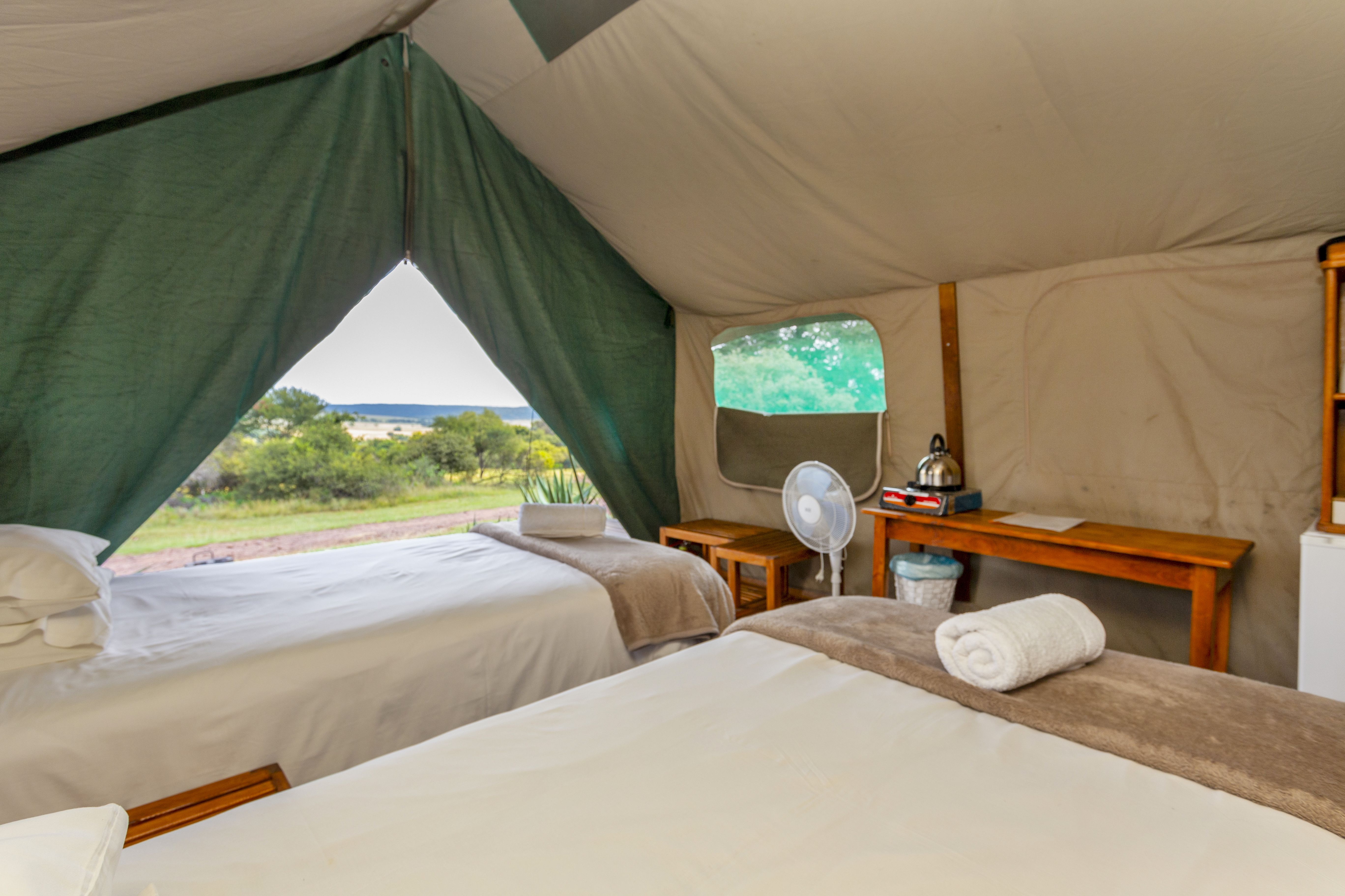 Kilimanjaro Elephant Ride, Arusha, Tanzania. En kvinna sitter och läser utanför ett tält uppsatt i vildmarken.