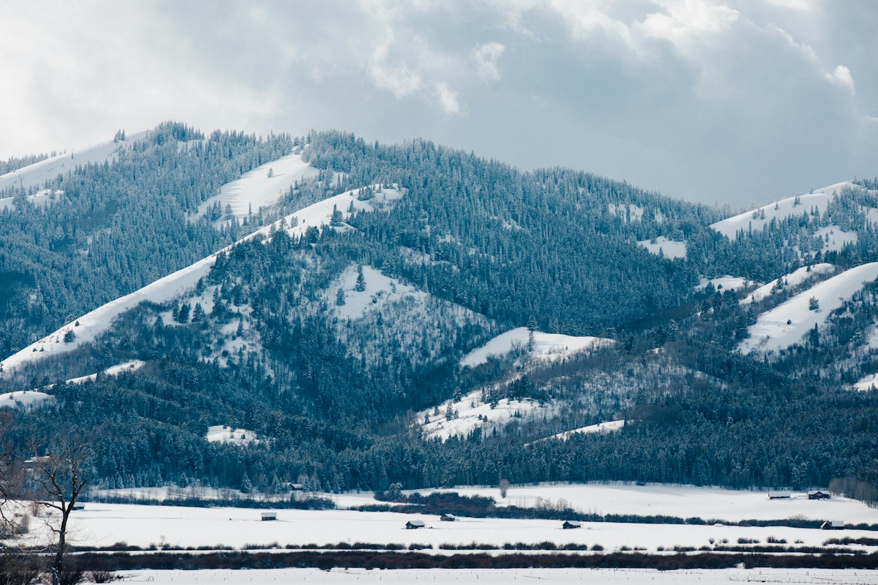 Snow-covered mountains above a forested valley under a cloudy sky