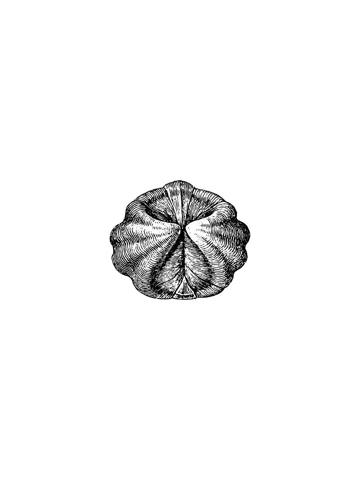 Orange outline of a smiley face with the text “Smiley Co” in orange serif type on a clean white background.