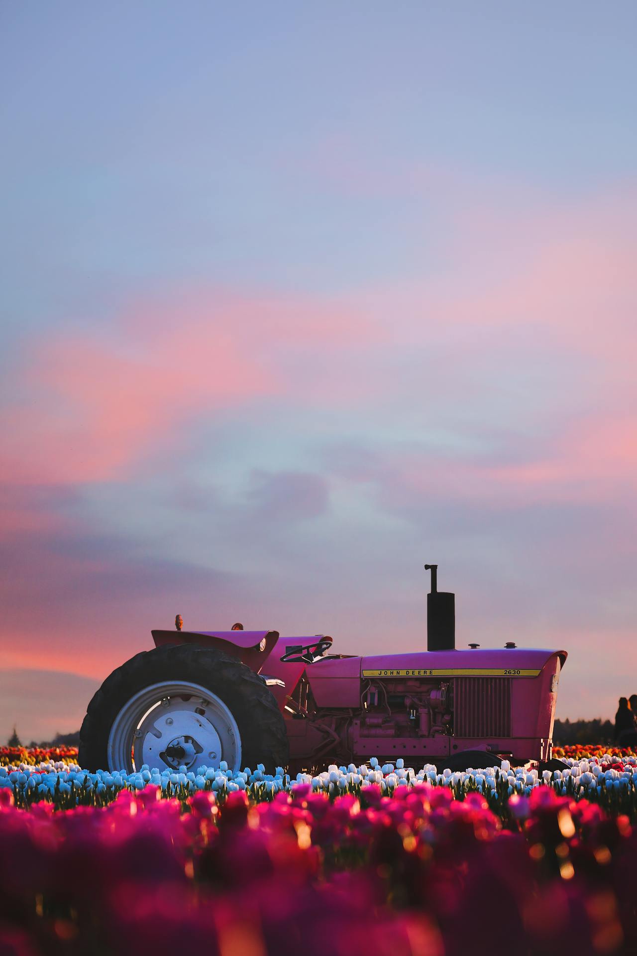 A purple tractor in a land