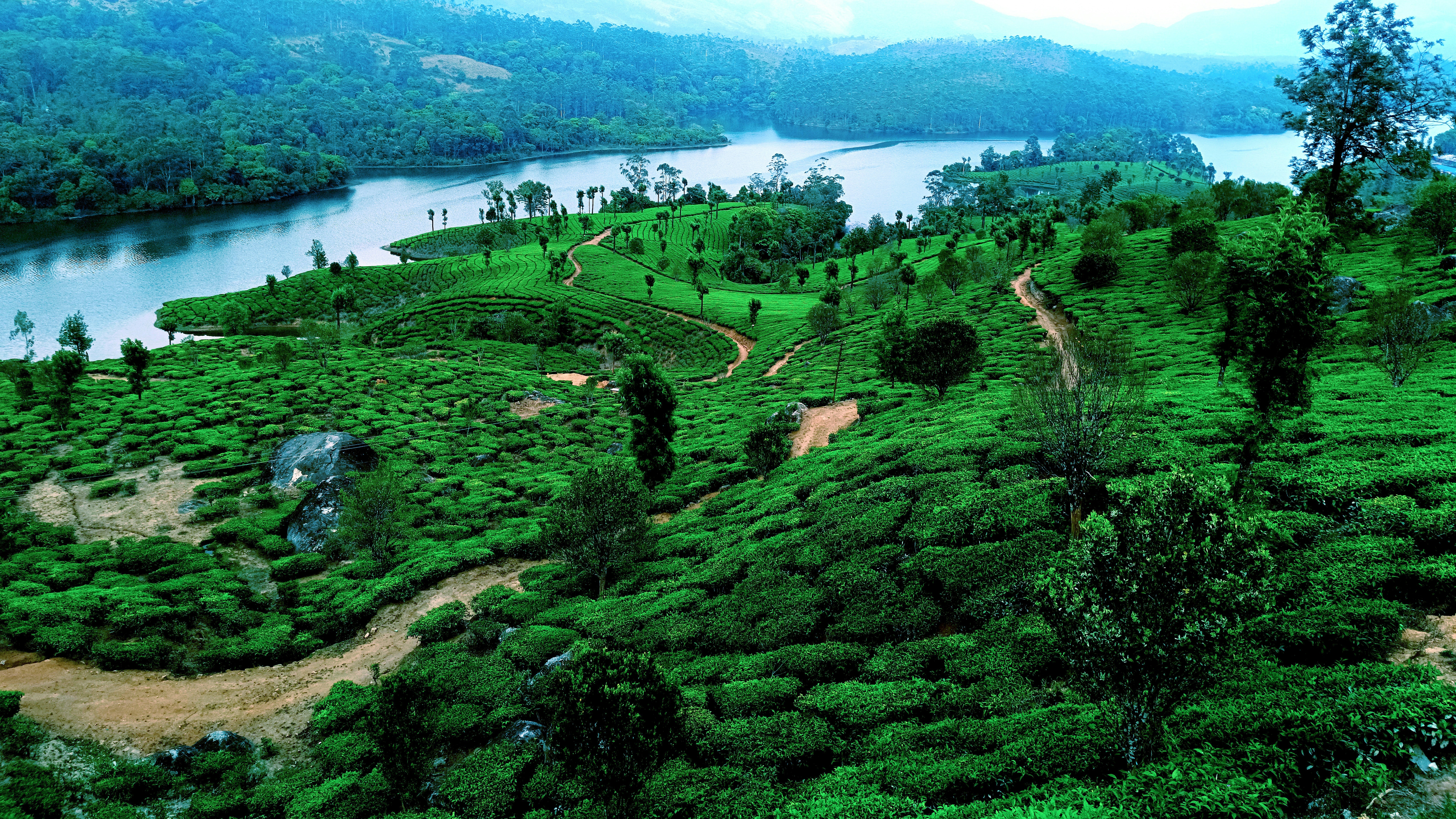 a lush green hillside with a river running through it