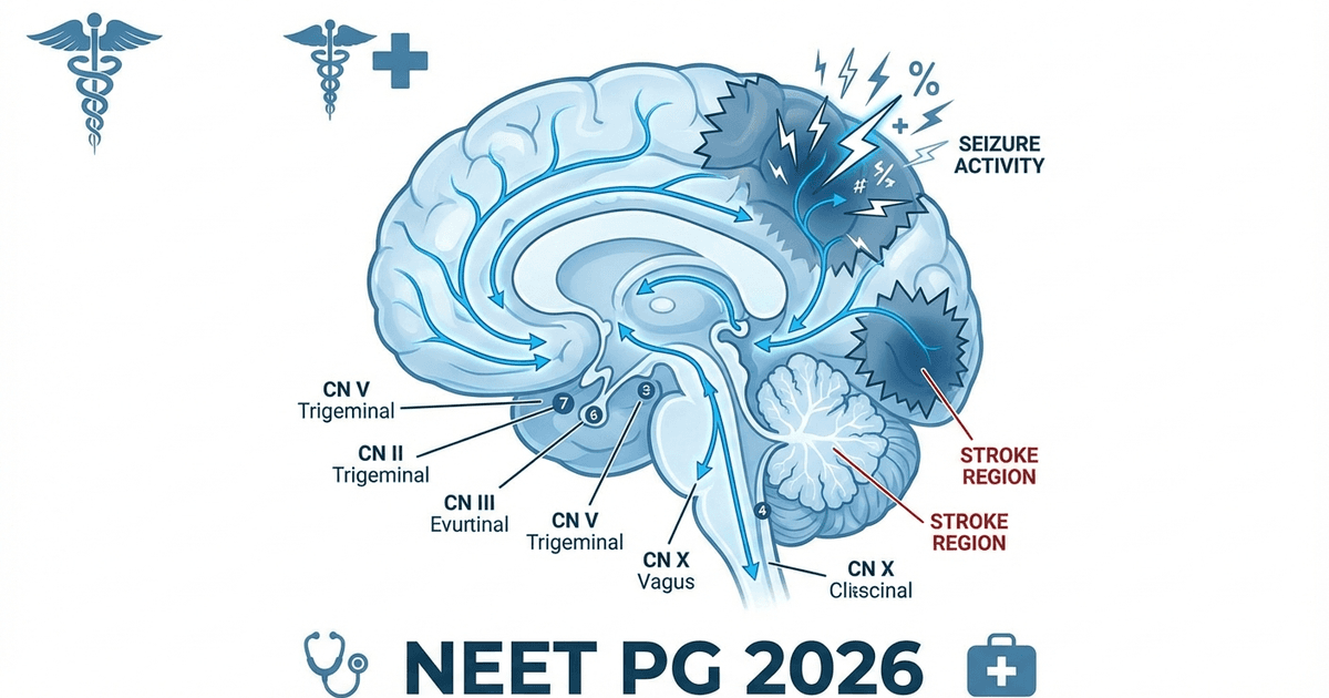 Cover: How to Study Neurology for NEET PG 2026: Stroke, Seizures, Cranial Nerves and High-Yield Topics