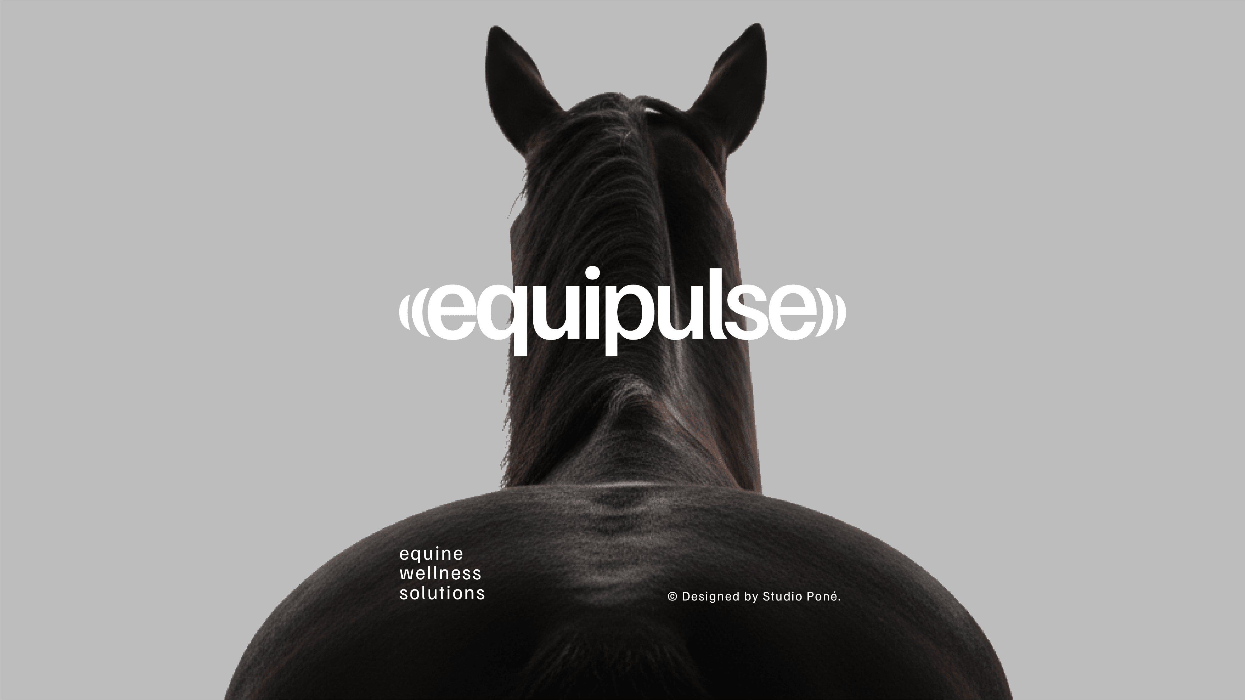 logo-cheval-sport-équestres