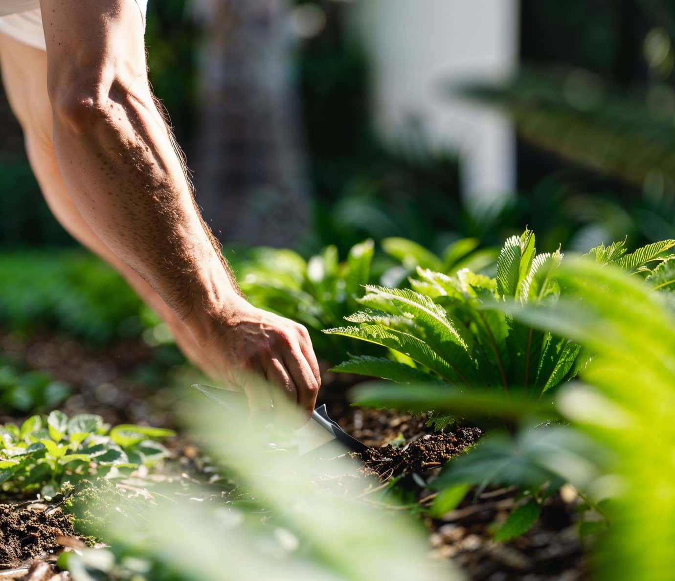 Umgebungsarbeiten im Waldenburgertal