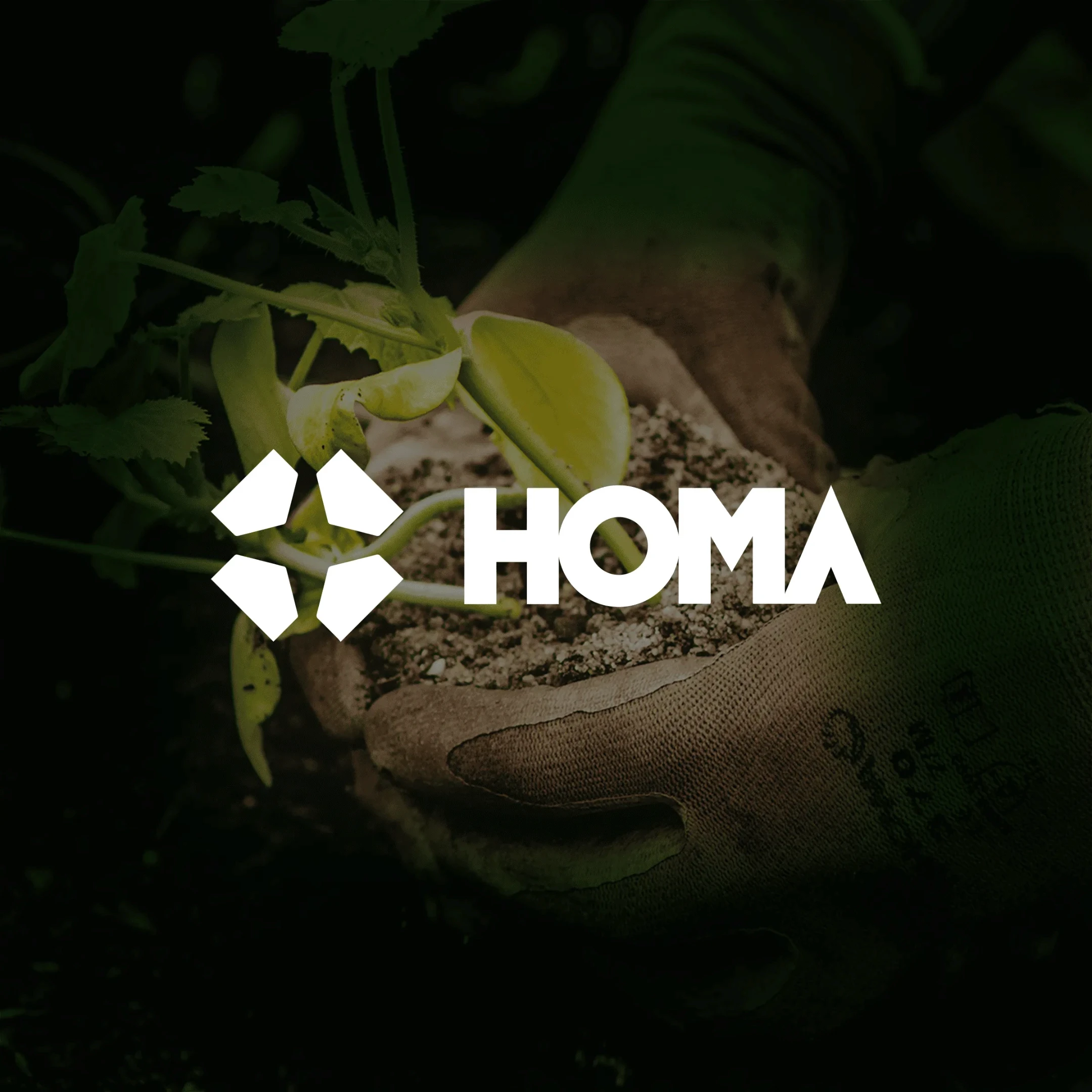 homa visual identity design