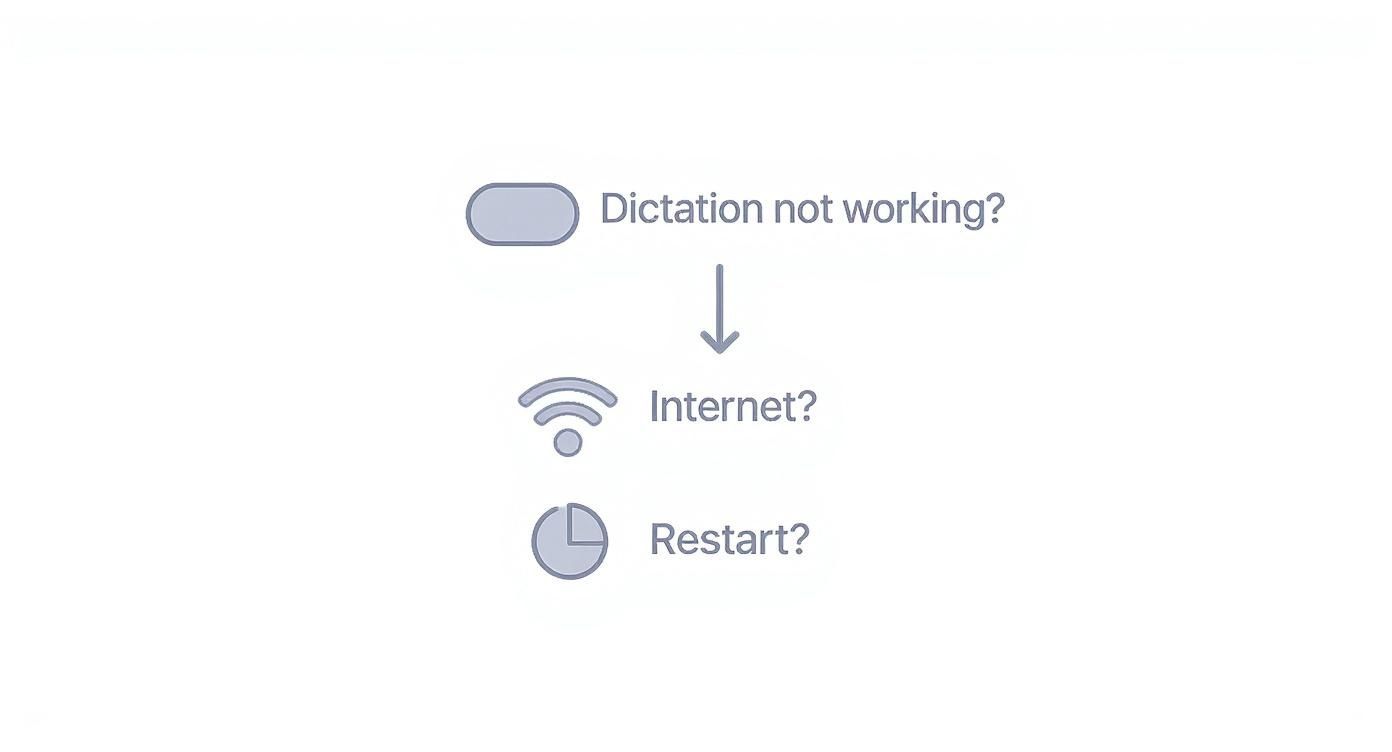 Infographic about how to dictate on iphone
