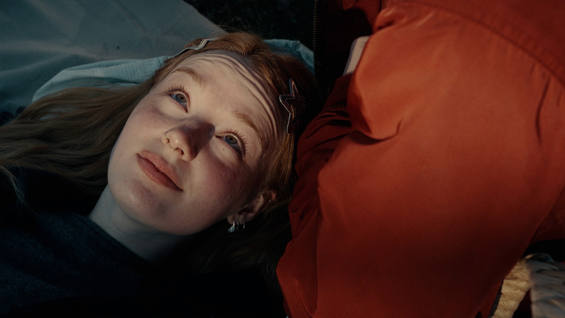 red roses in a car, cinematic light