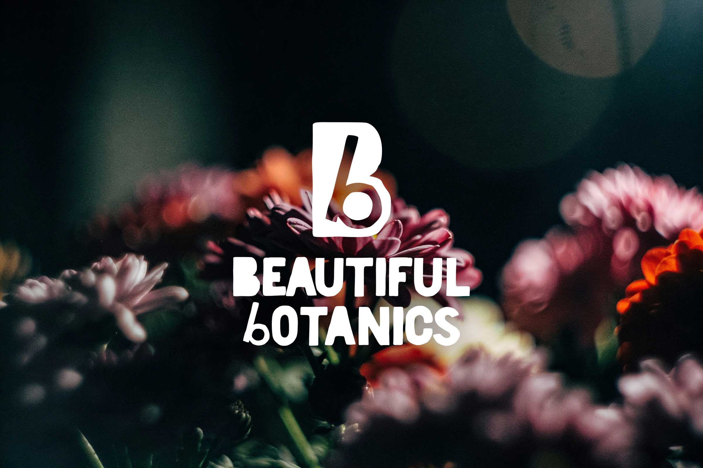 Titelbild für das Logo von Beautiful Botanics mit einer exotischen Pflanze im Hintergrund.