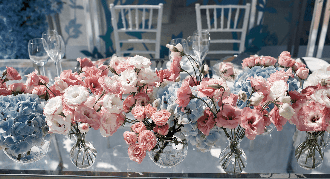 A group of four people engaged in a discussion while seated in a cozy, plant-filled setting.