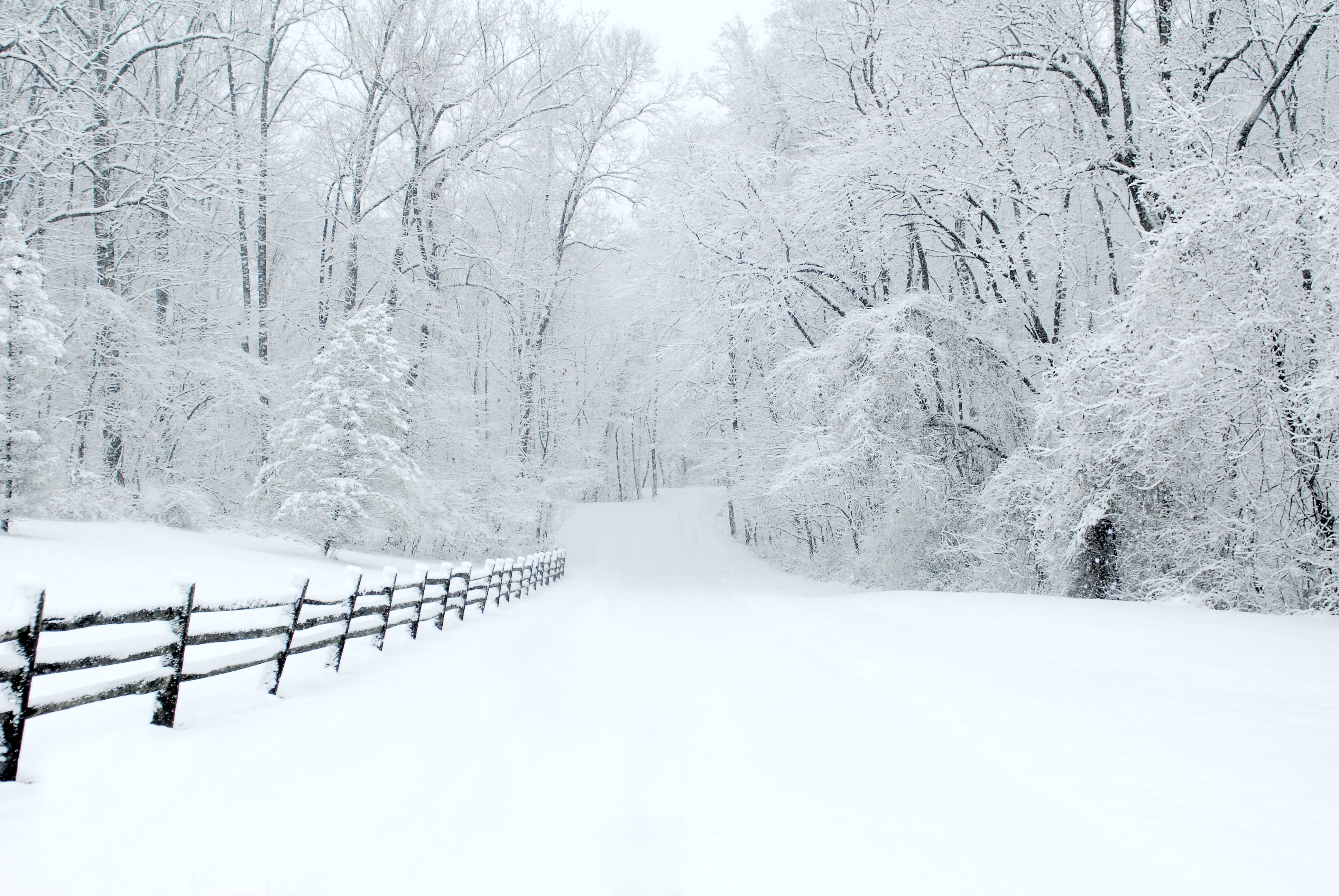 Snowy drive, Chester County, Pennsylvania, USA
