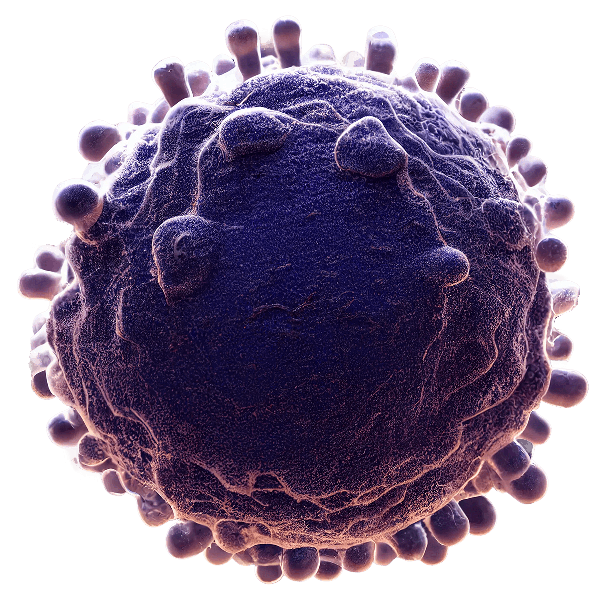 3D visualization representing cancer biology used in precision oncology research