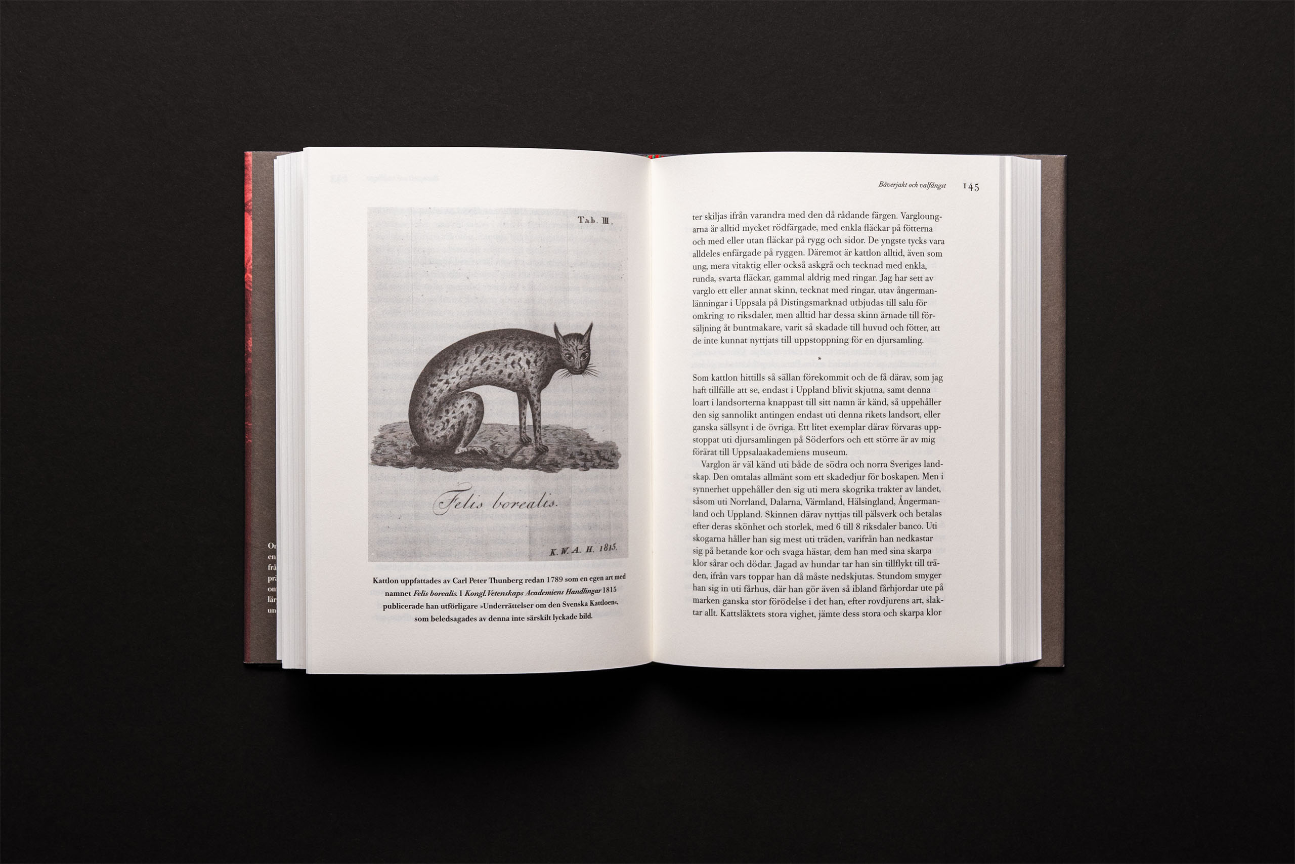 Kalkbrott i Slite, med transporrtfordon