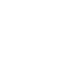 Magnifying glass icon