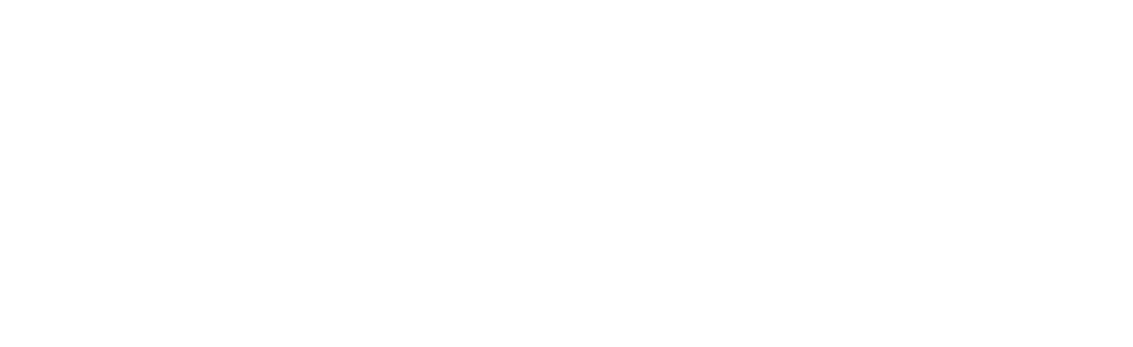 Finternet Committee