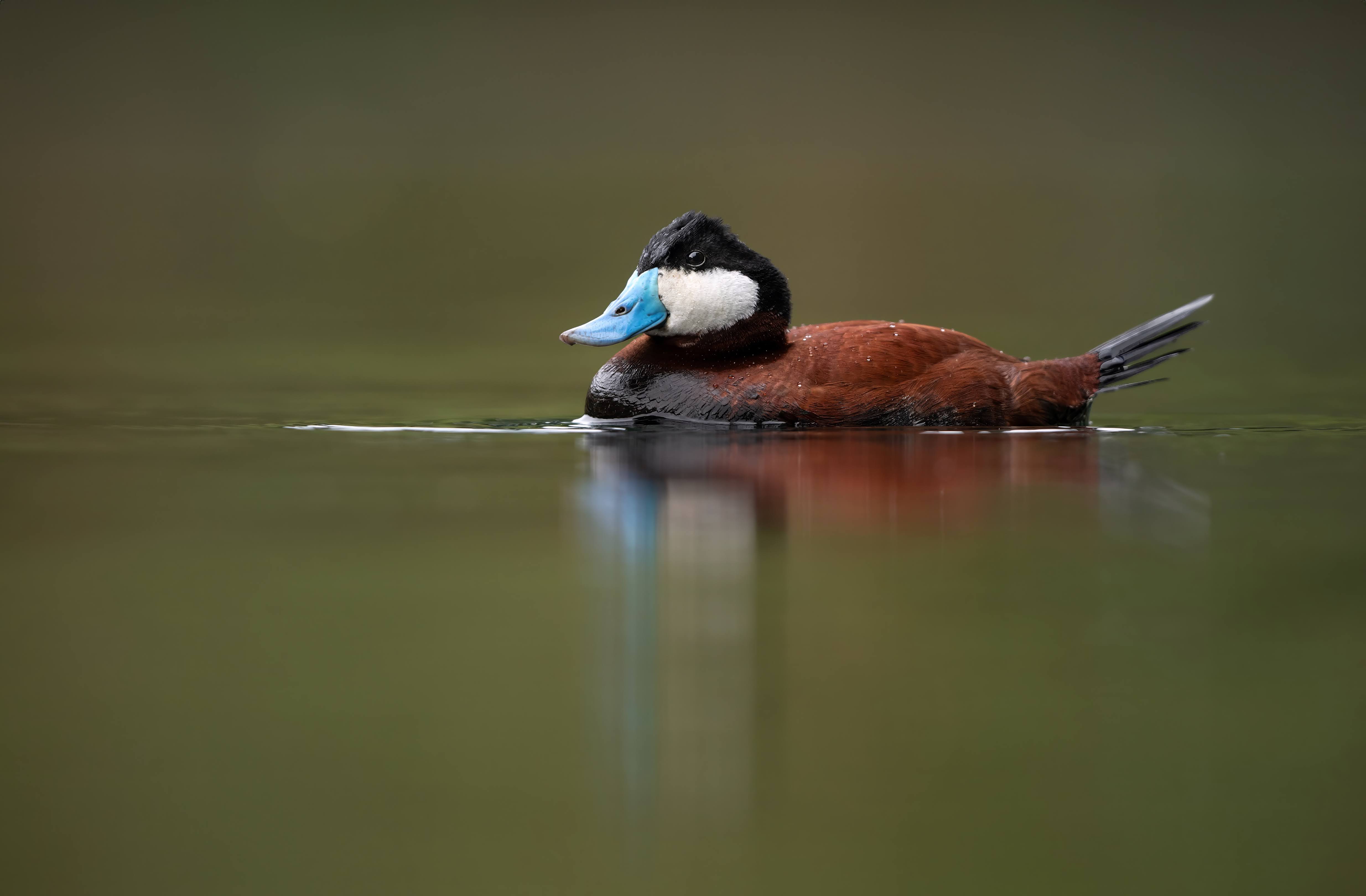 Photo of Irene in a neon scene