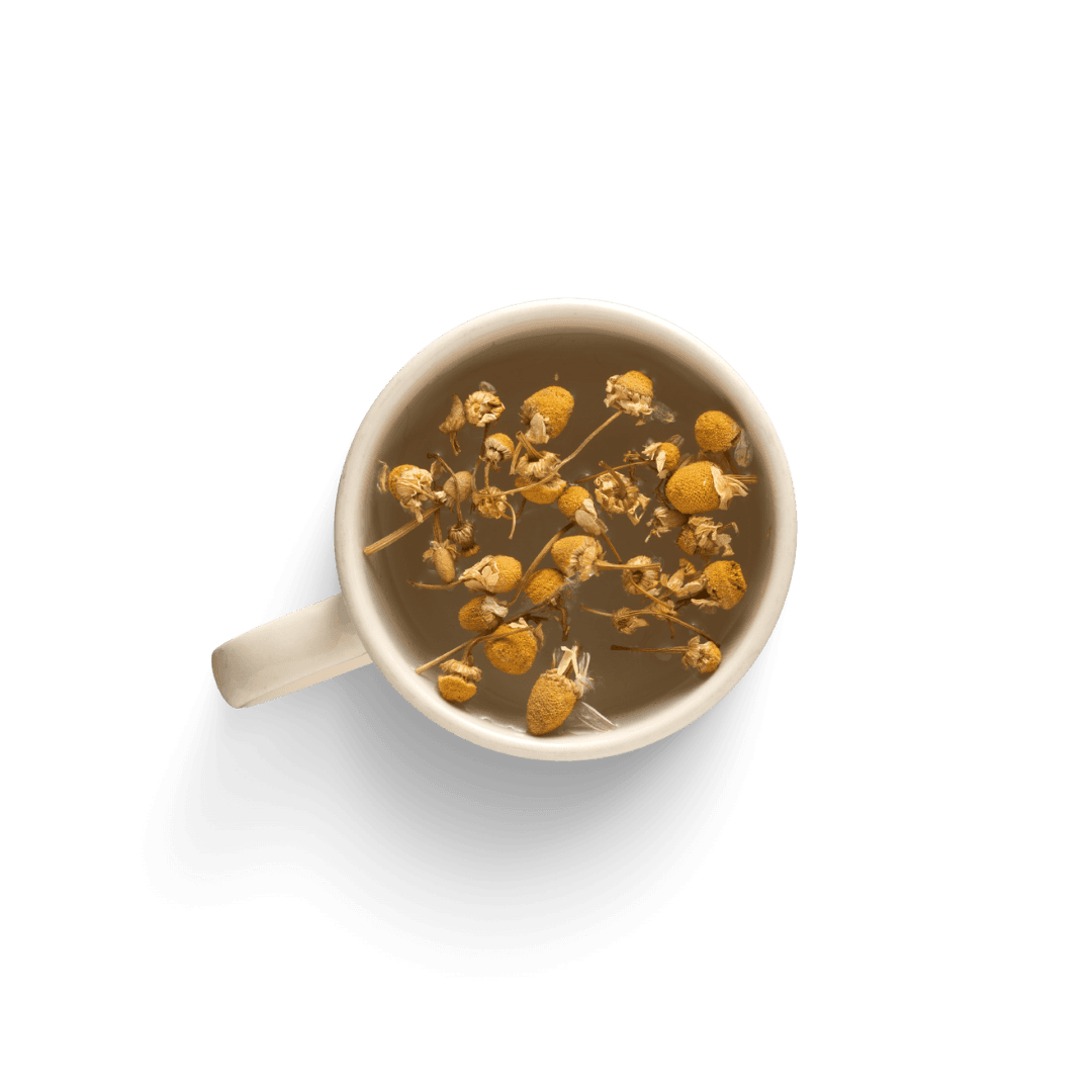 A 3D rendered geometric shape resembling a purple plastic pipe connector with six cylindrical openings arranged symmetrically, showcasing a modern and abstract design.