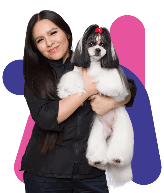 Cindy Ruiz holding a black and white dog with bows to highlight elegance, joy, and professional grooming care.