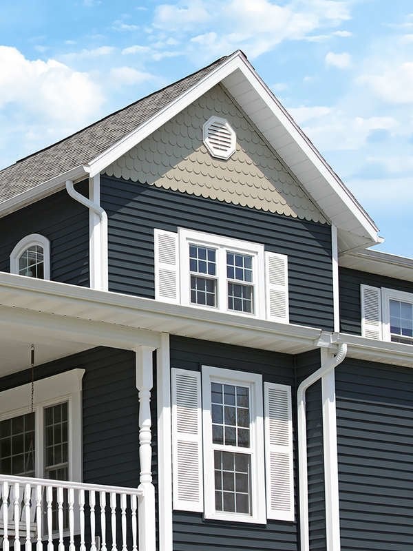 Modern home with dark vinyl lap siding