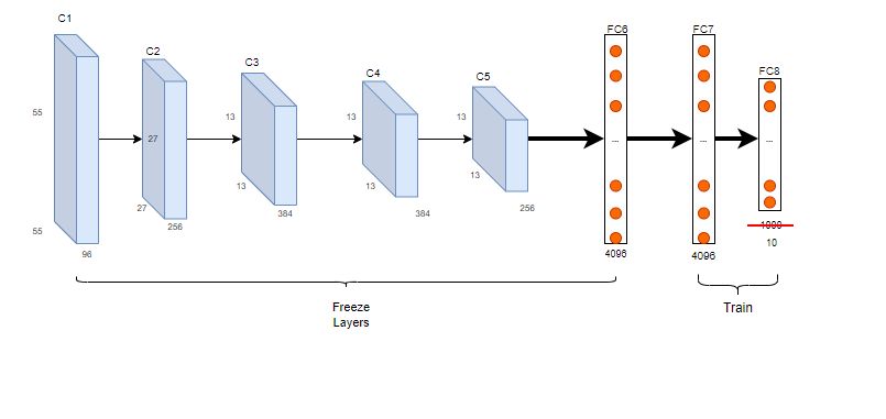 Identifying Transfer Layers