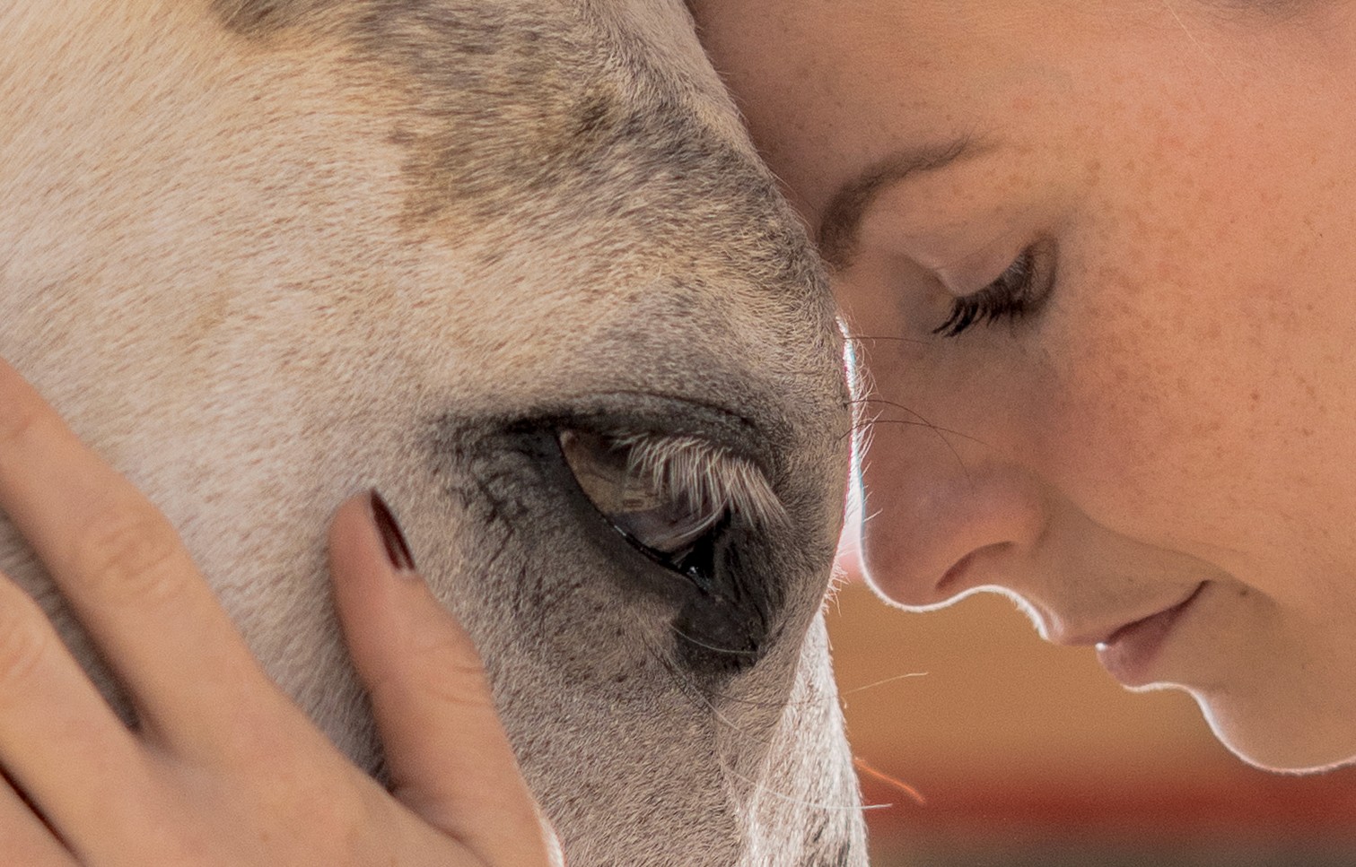 portait femme tête posée sur cheval