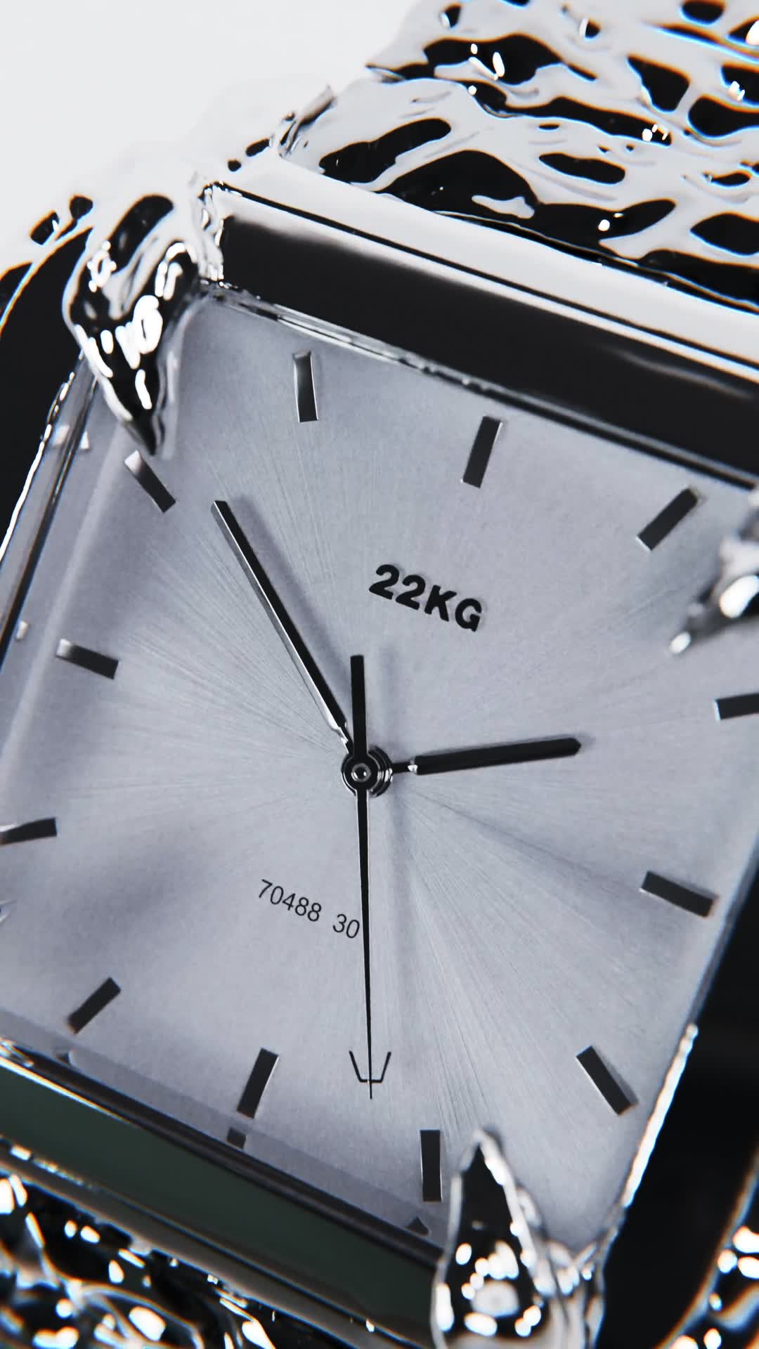 22kg canine watch - face view