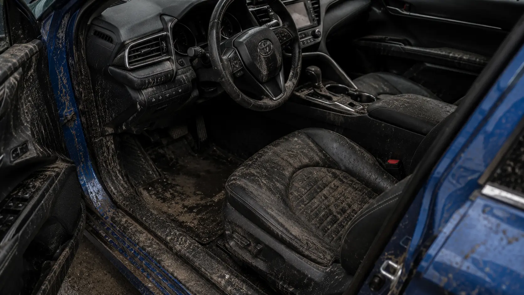Dirty interior before detailing