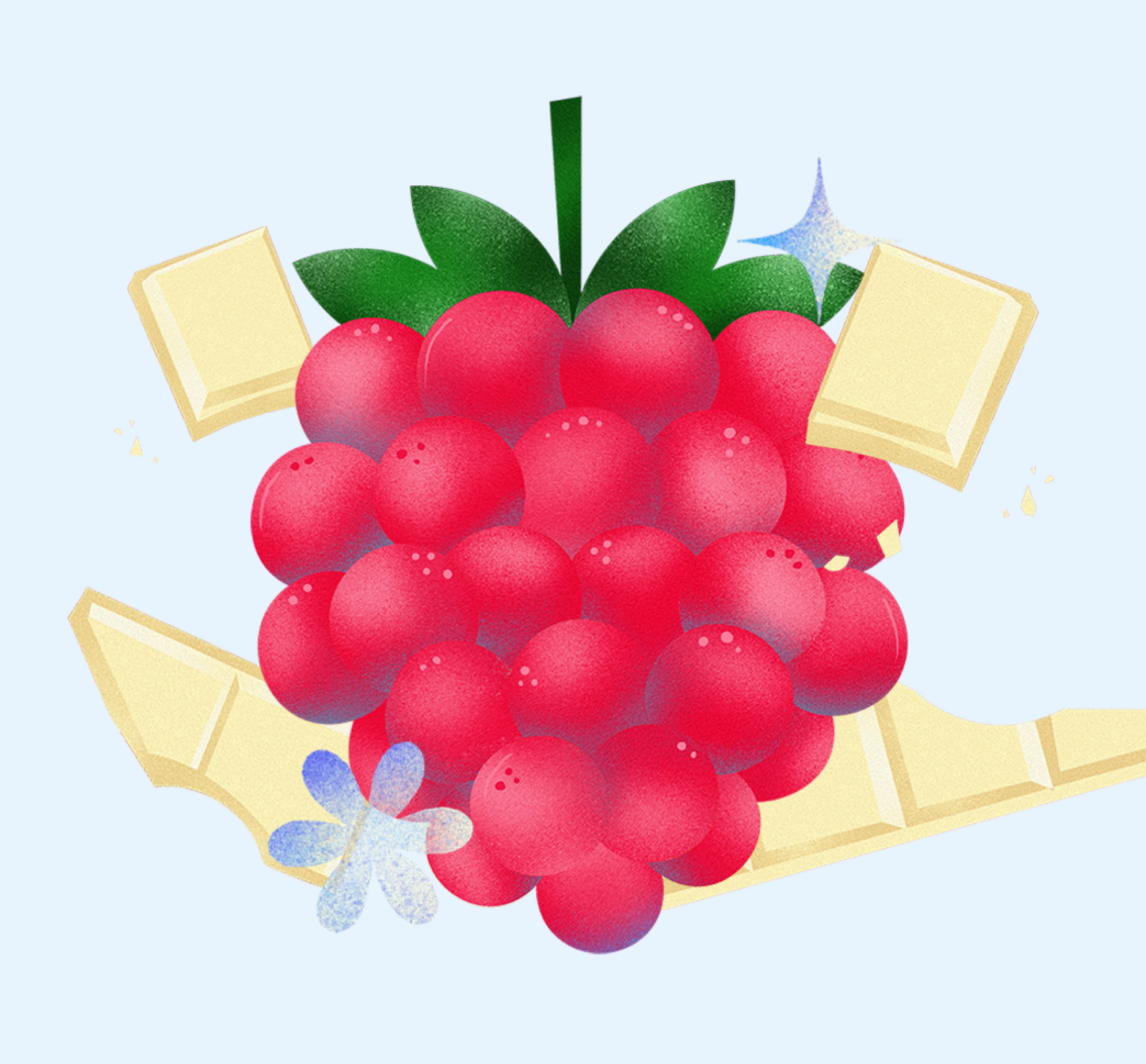 E&O Raspberry illustration