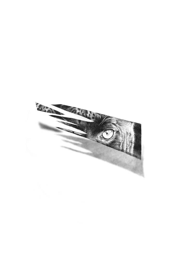 tattoo design to buy