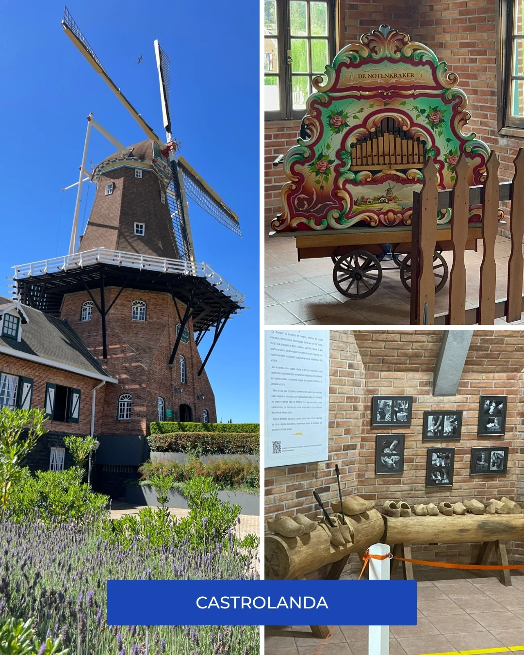 Castrolanda  - Motion Turismo