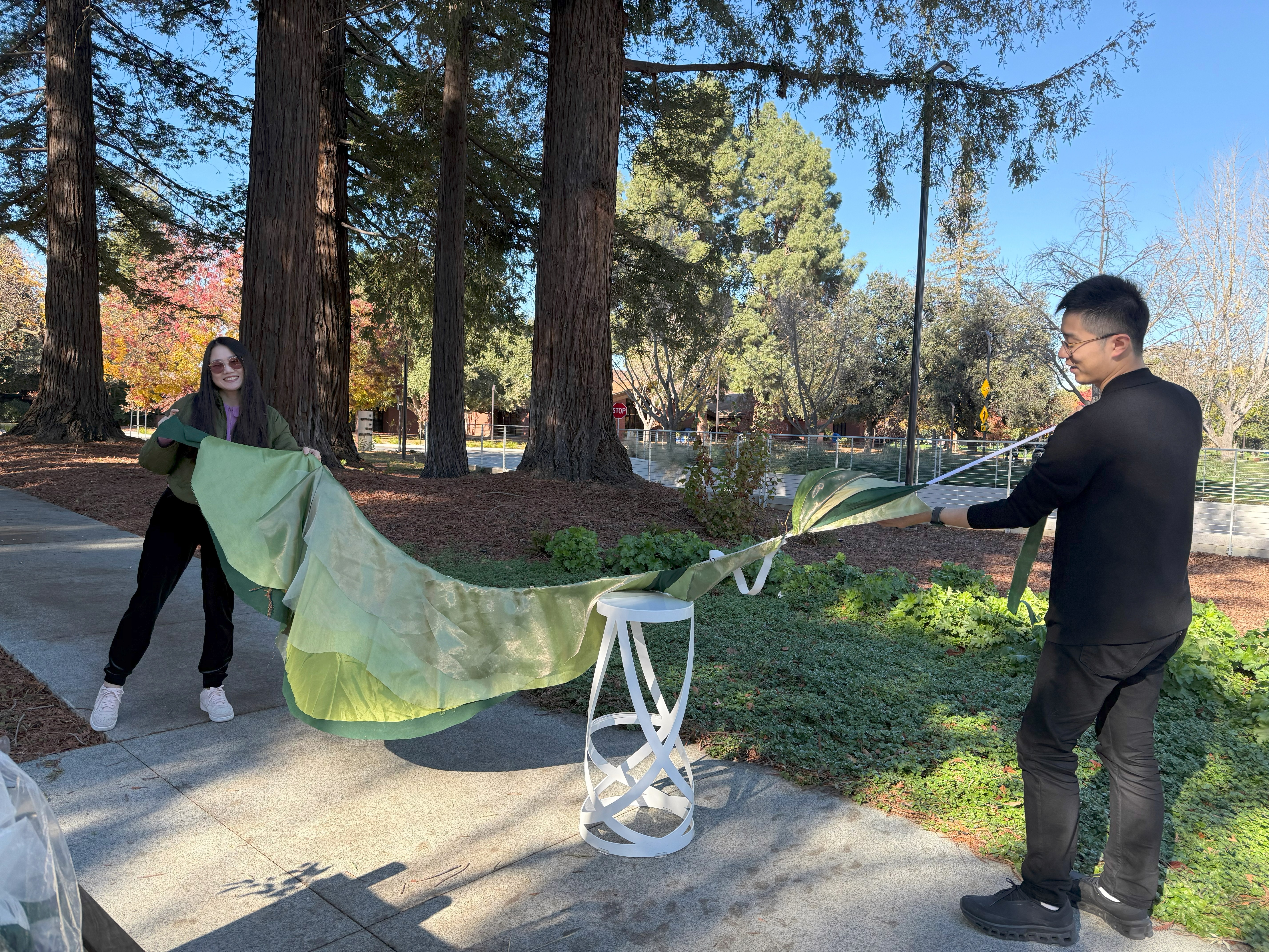 Big Bold Bad A$#! Campaign