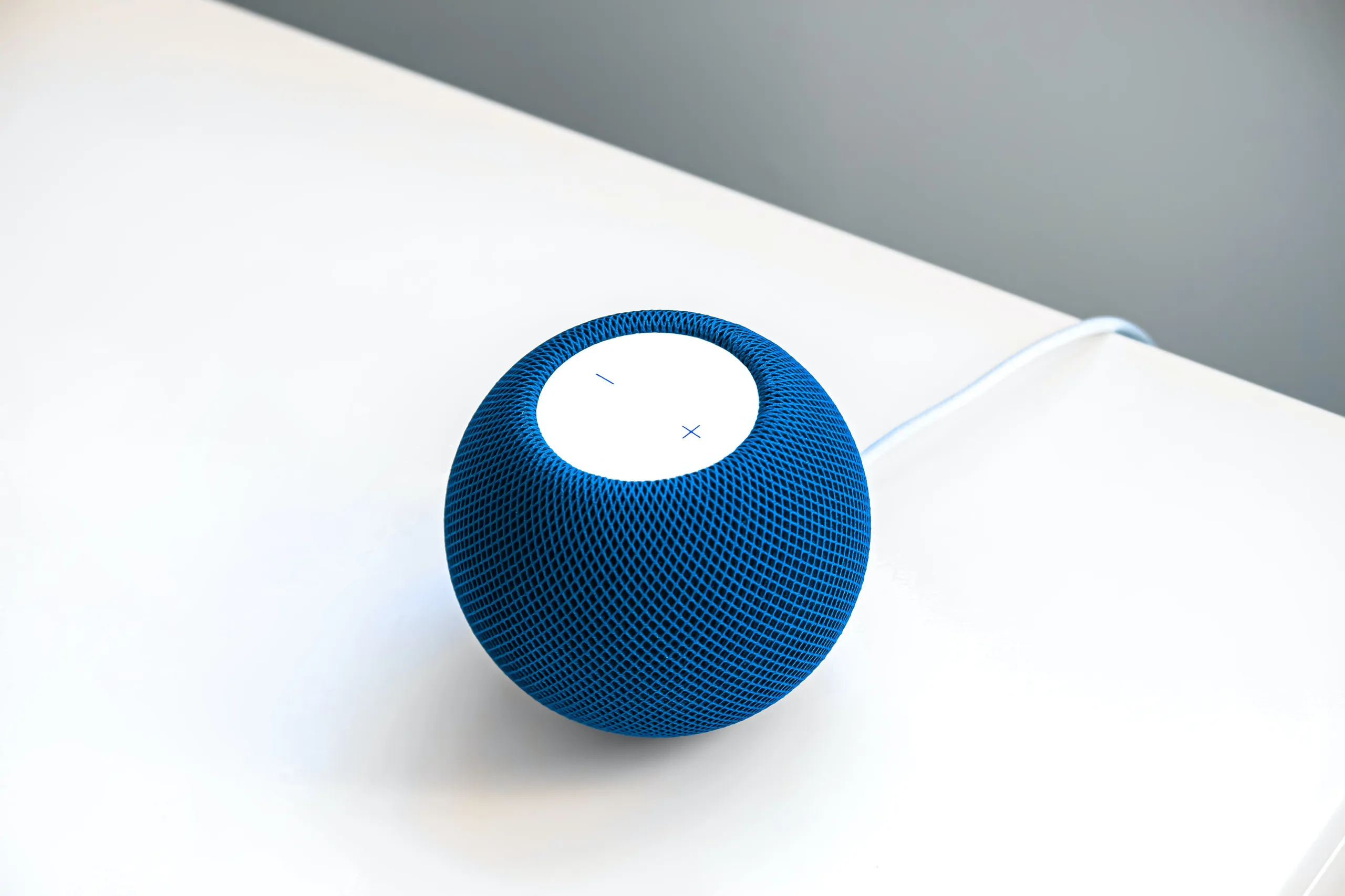 Apartment, flat, or crib? Toloka helps train voice assistant in telling close synonyms apart