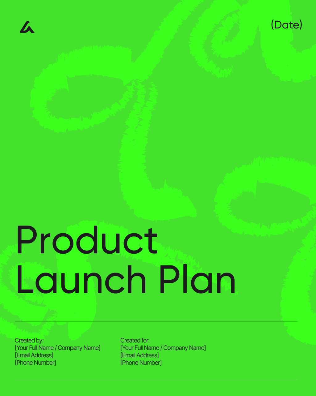Product Launch Plan