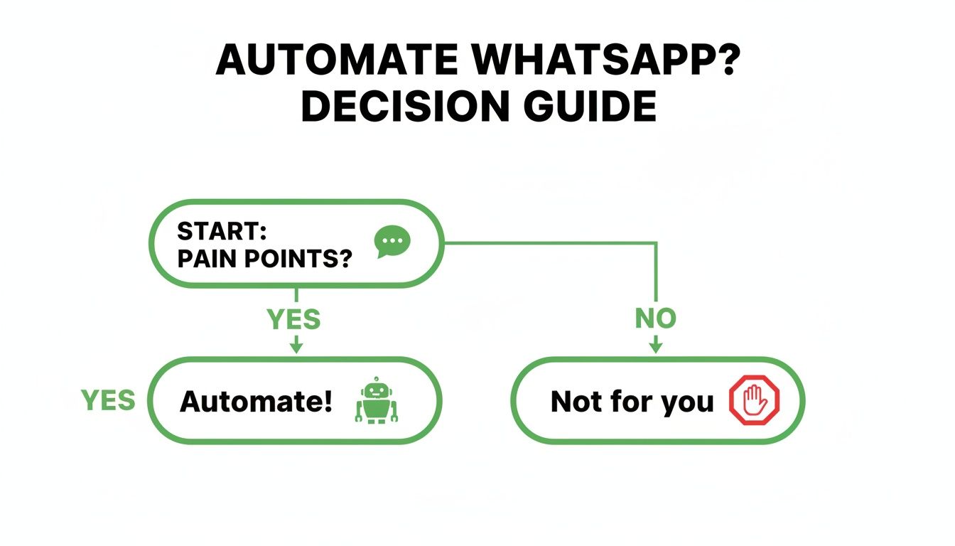 A flowchart decision guide for WhatsApp automation, asking about existing pain points.