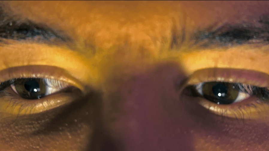 Feedback & Refinement