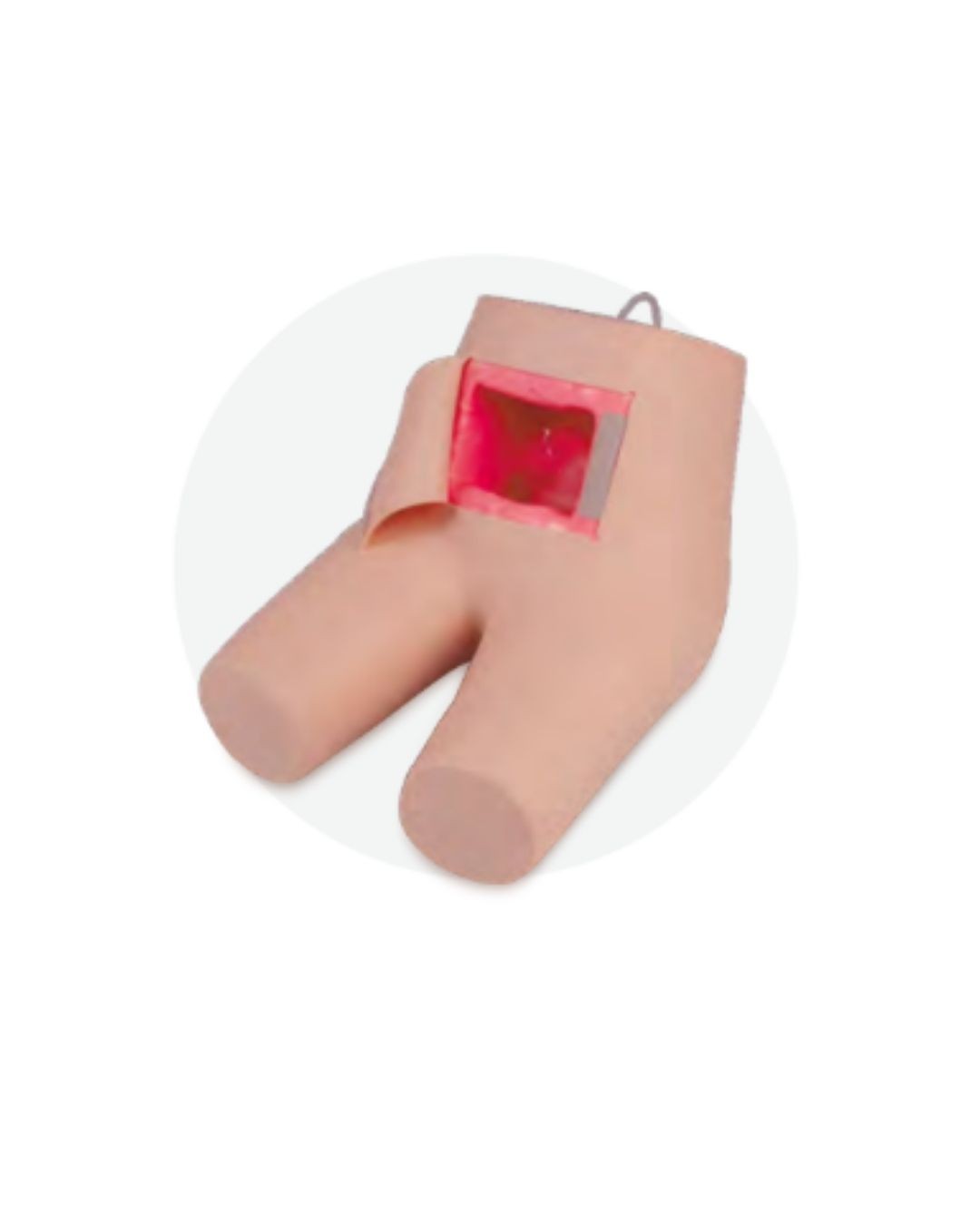 Enema and Defecation Assisting Model