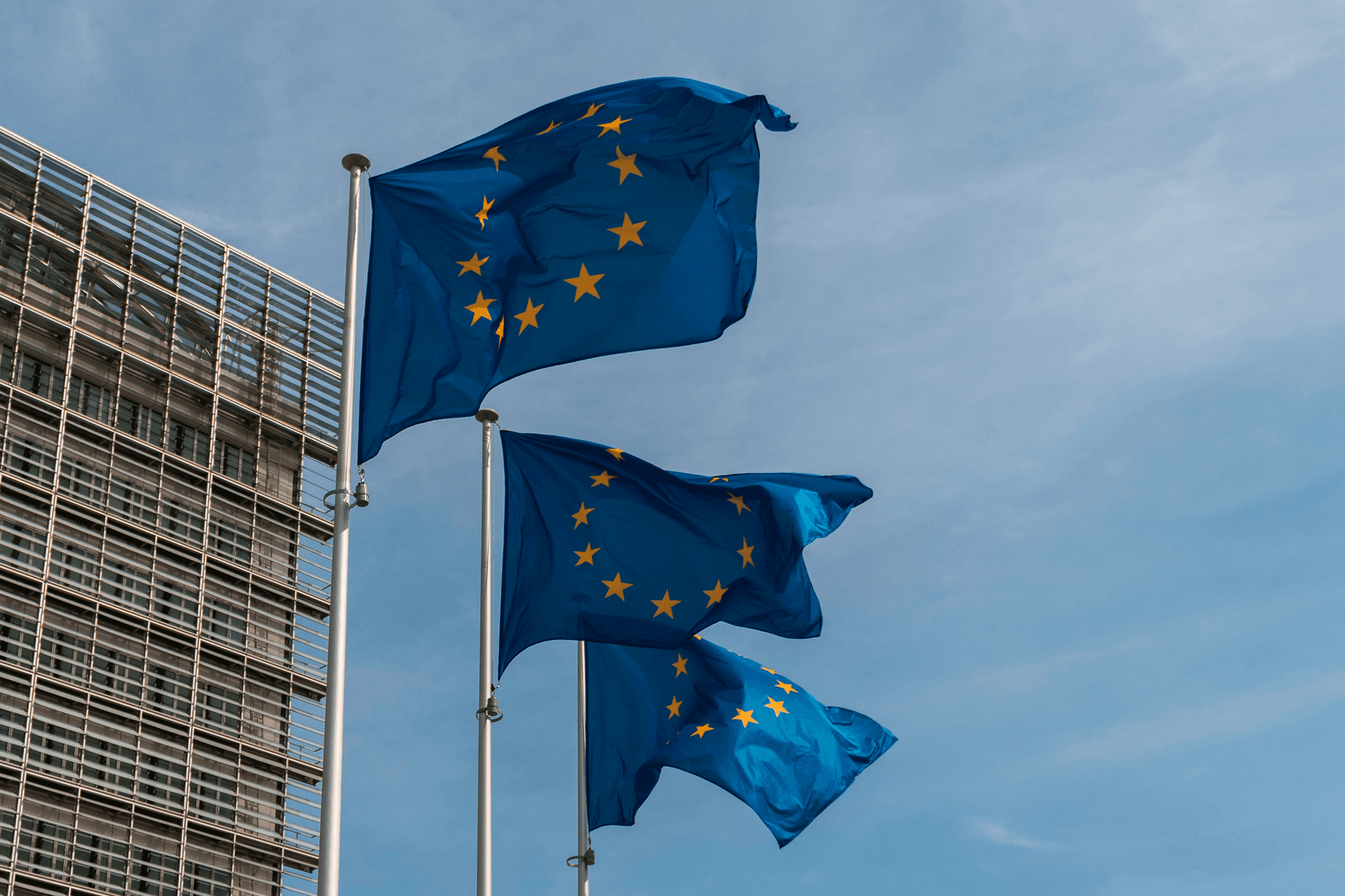 Brussels Times New Website