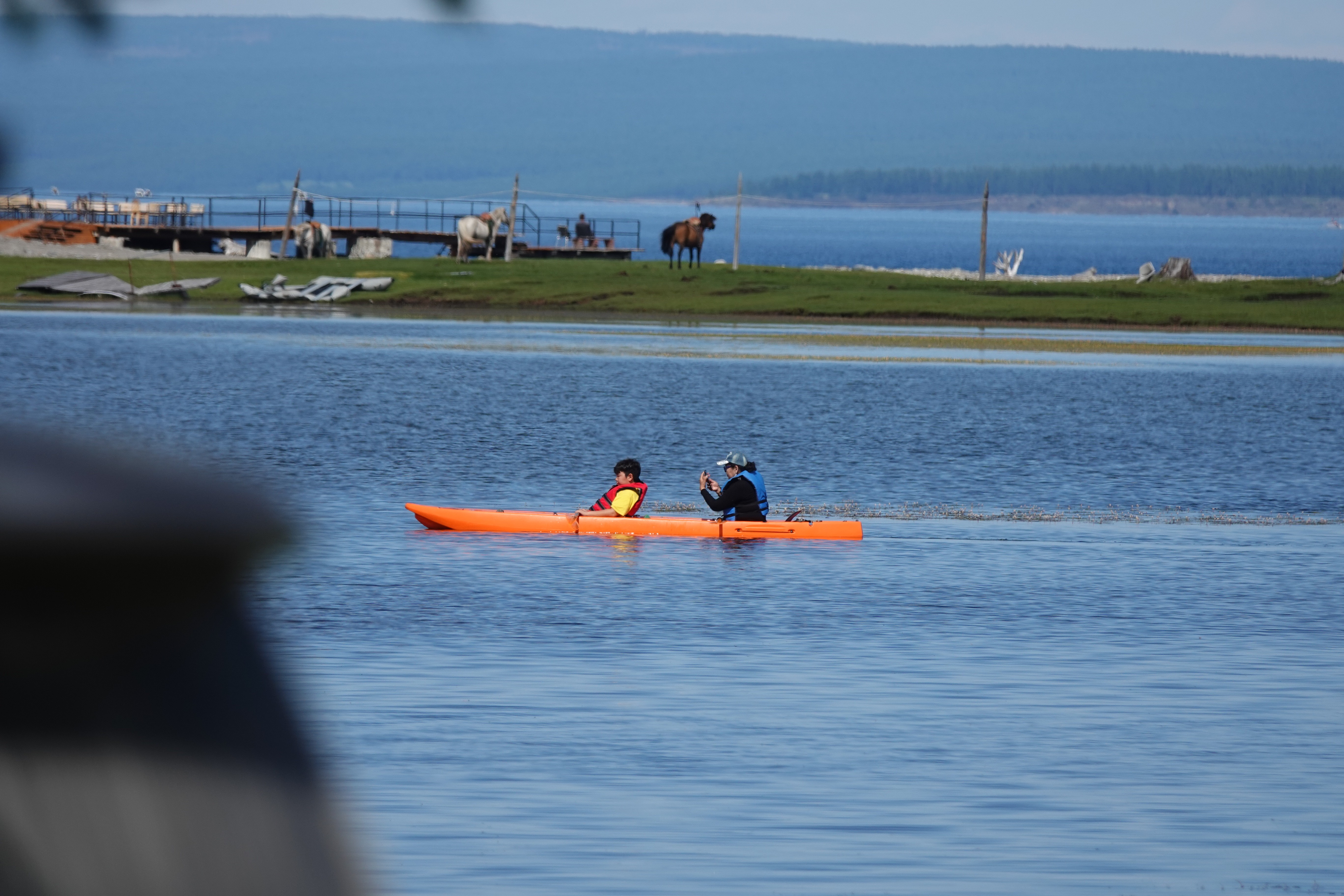Close-up of a tree stump showing growth rings and a textured brown wood surface.
