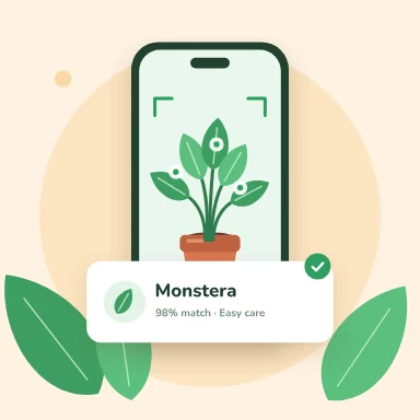 Sprout, Scan a plant
