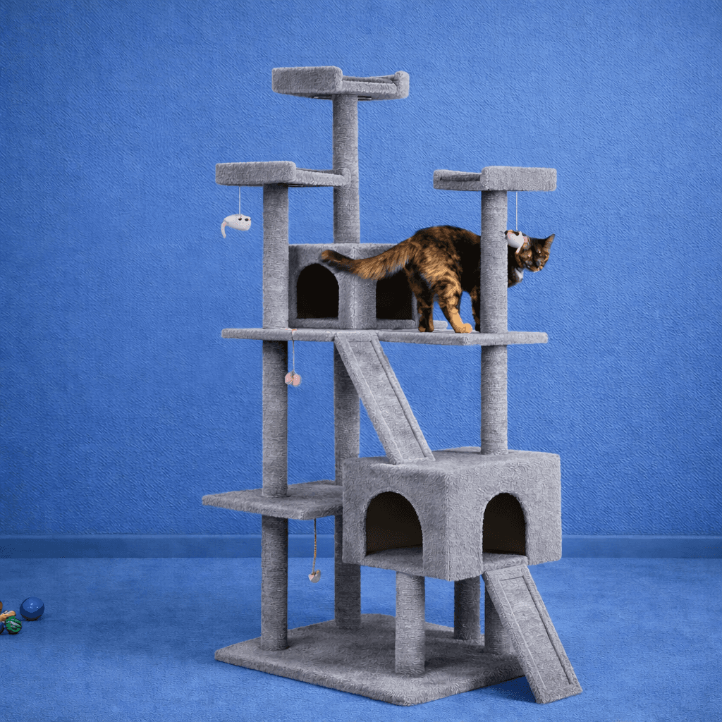 Frisco 72-Inch Cat Tree and Condo with multiple platforms.
