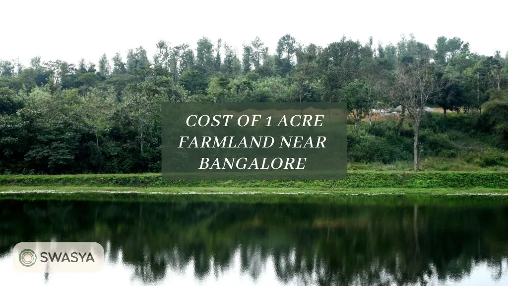 How Much Does Farmland Cost Near Bangalore