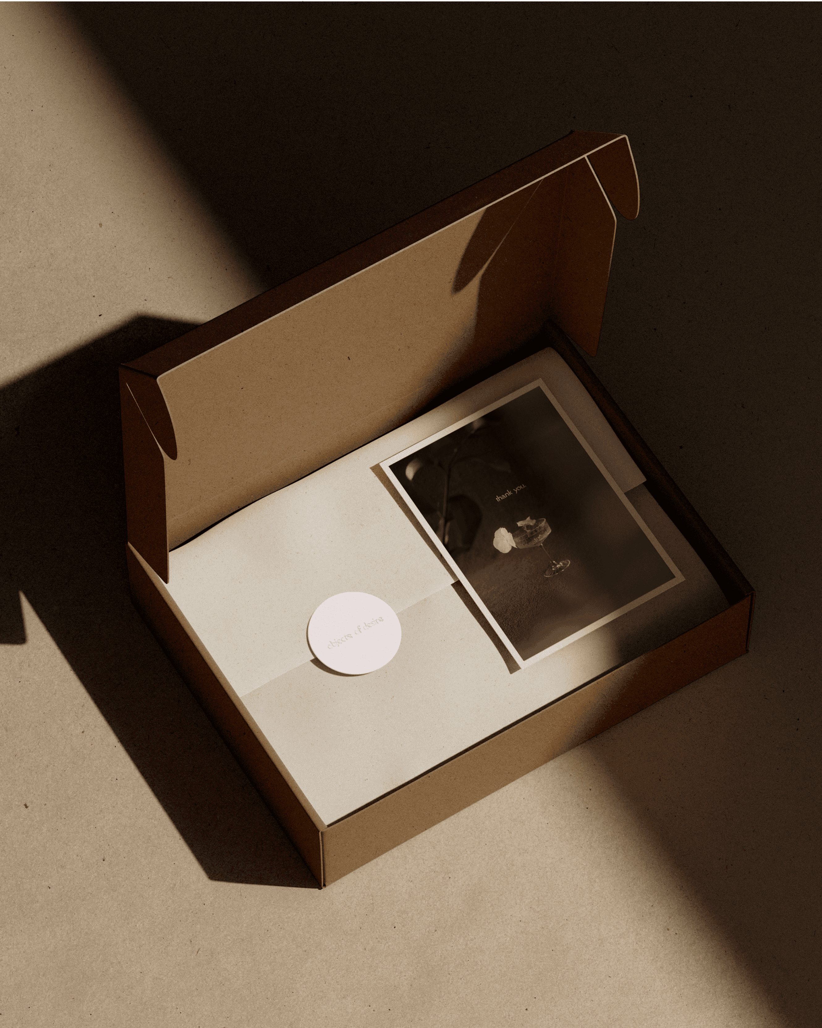 vellum envelope editorial packaging design by selina donohoe