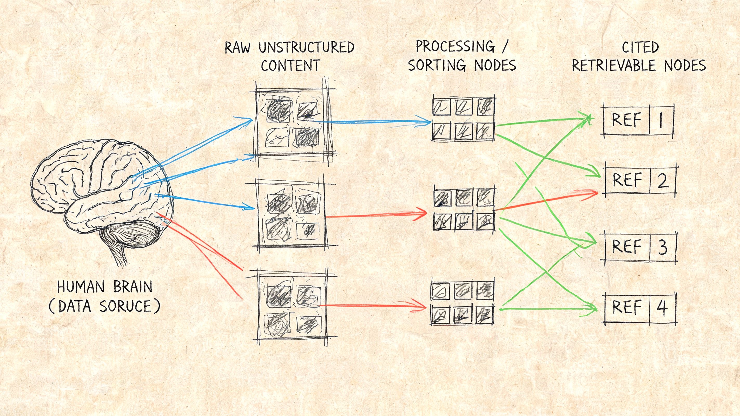 A hand-drawn diagram illustrating the data flow from the human brain into structured and cited nodes.
