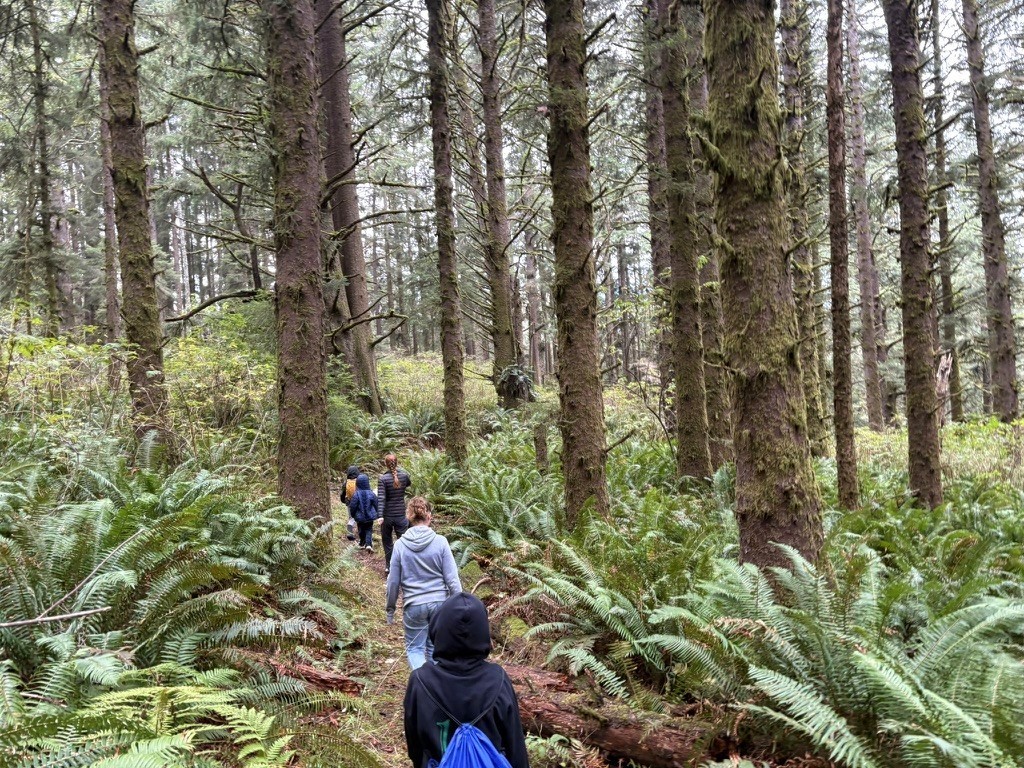 Family hiking through a mossy Pacific Northwest forest
