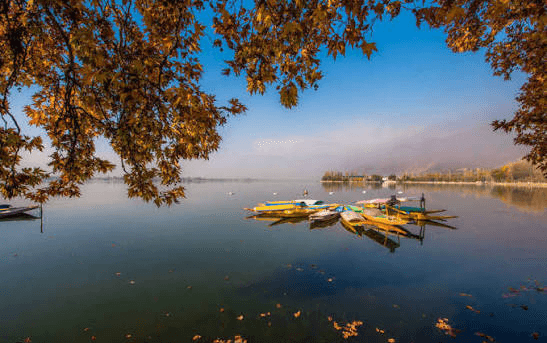 Kashmir landscape